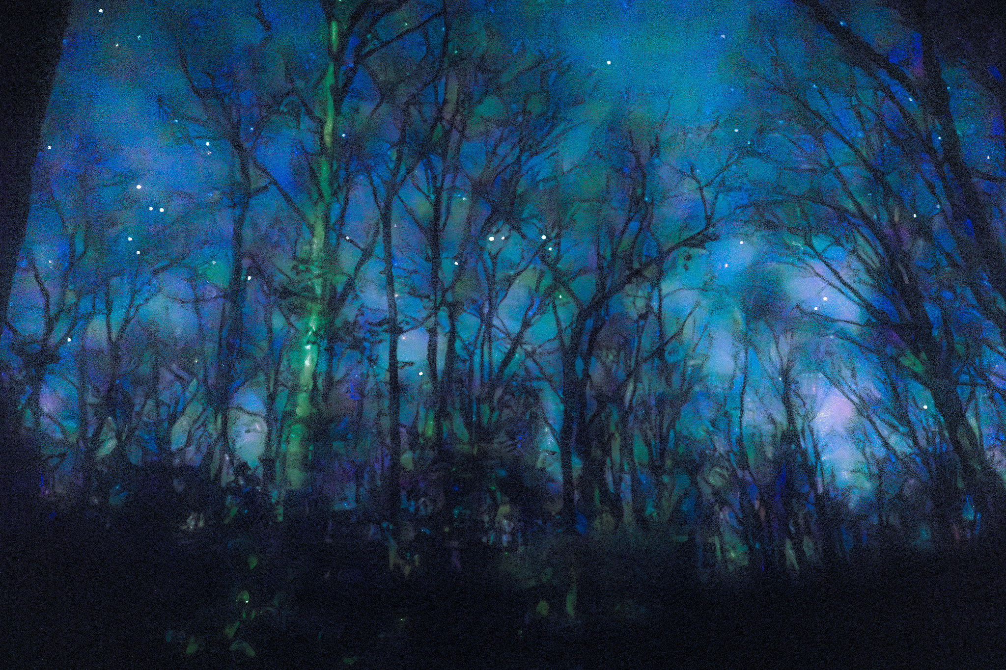 Night Sky over Neenah, Wisconsin
